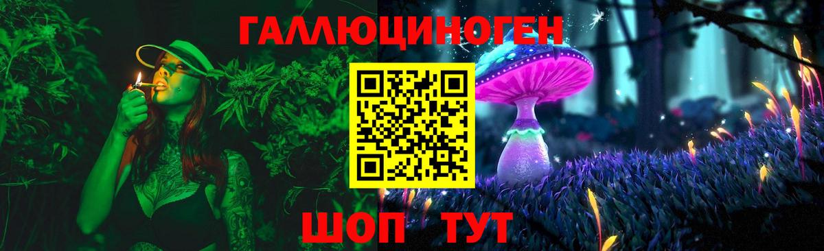 Черкесск  хочу наркоту  Псилоцибиновые грибы мухоморы  Вход с VPN  Псилоцибиновые грибы ЛСД 